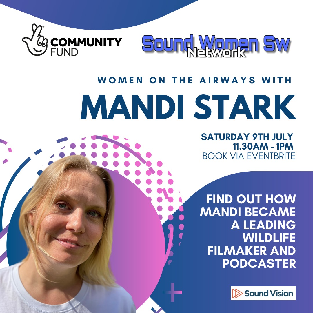 Mandi Stark SWSW Poster